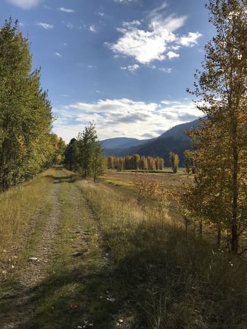 The trail follows an old twintrack