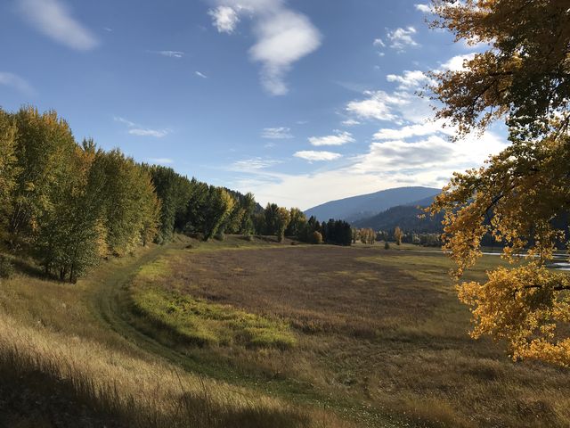 The levee follows the sweeping curves of Deep Creek