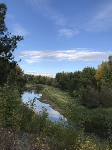 Deep Creek from the levee