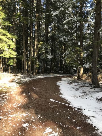 Most of the trail follows an old, wide forest road