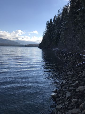 View south along the shore