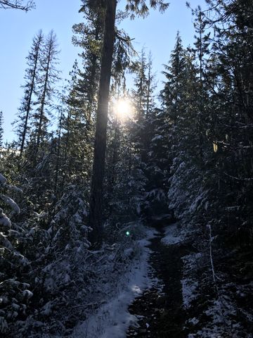 Much of the trail is singletrack