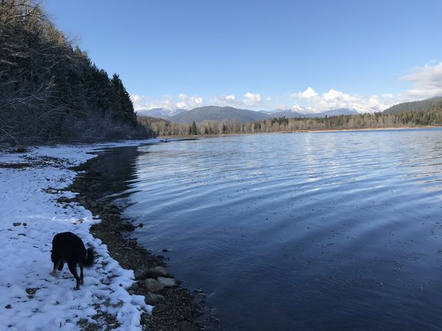 On the shore near Navigation Campground