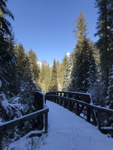 Bridge across Hughes Fork