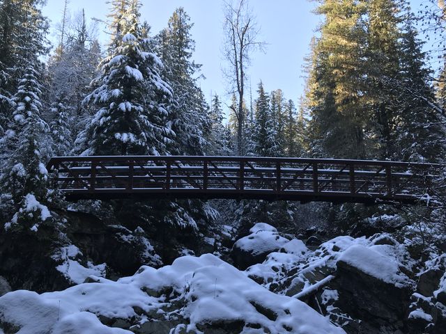 Another view of the bridge across Hughes Fork