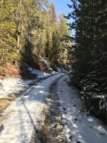 A half-mile forest road leads from the trailhead to FR-1013