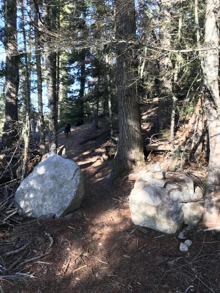 Upper Priest Lake and Trapper Creek NaughtyHiker