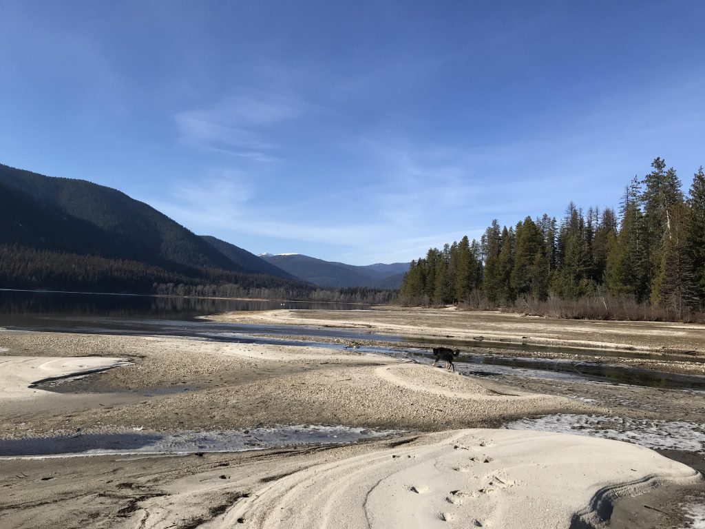 Upper Priest Lake and Trapper Creek NaughtyHiker