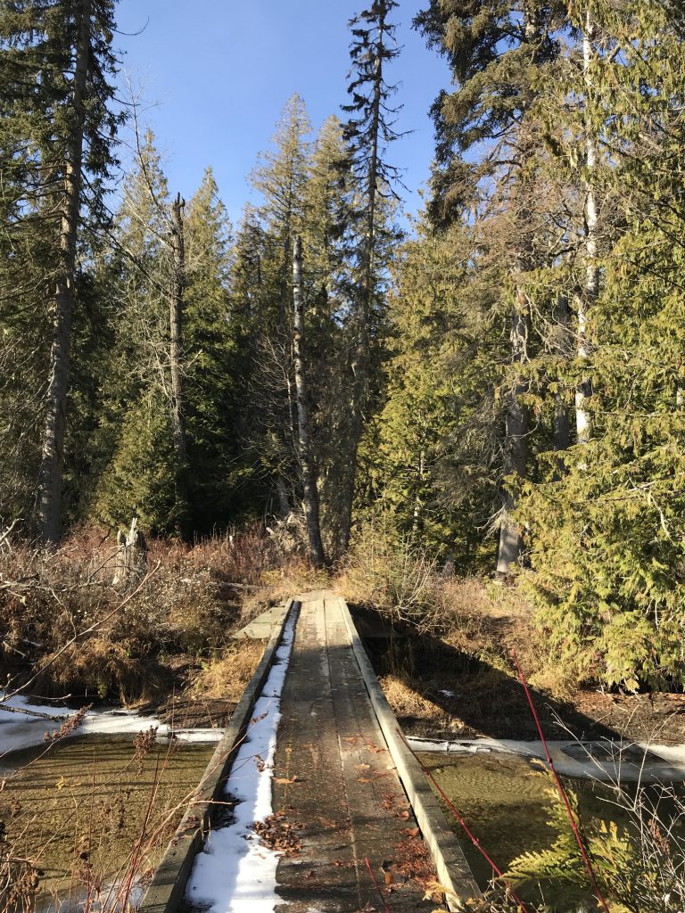 Upper Priest Lake and Trapper Creek NaughtyHiker