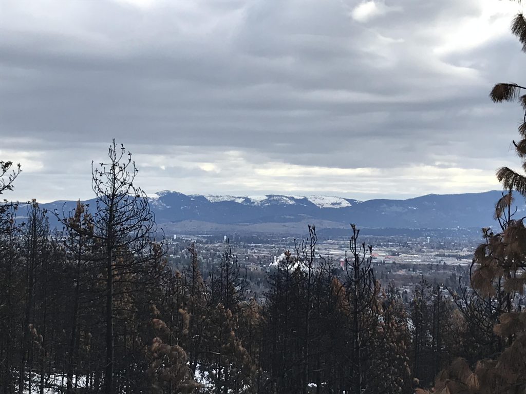 Beacon Hills – NaughtyHiker