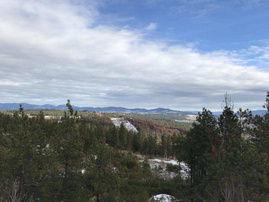 Beacon Hills – NaughtyHiker