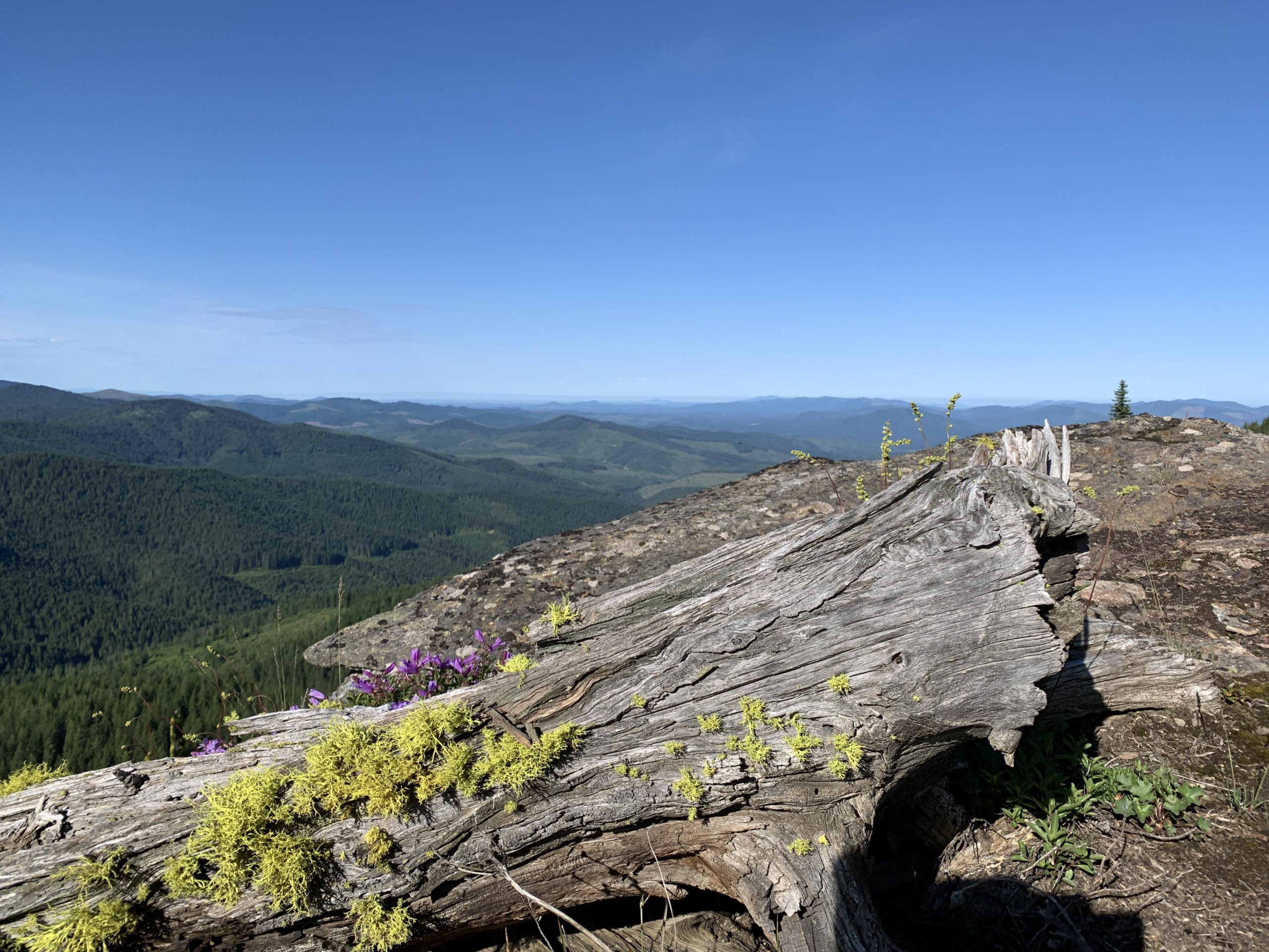 Grandmother and Grandfather Mountain NaughtyHiker