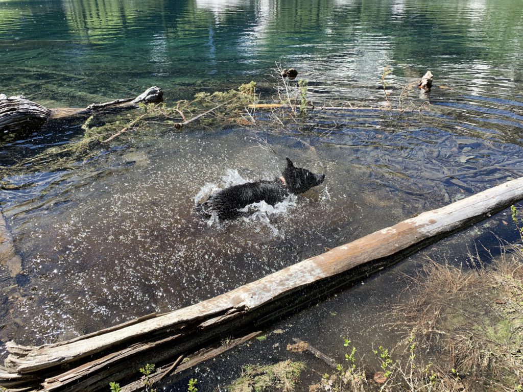 Little Spar Lake NaughtyHiker